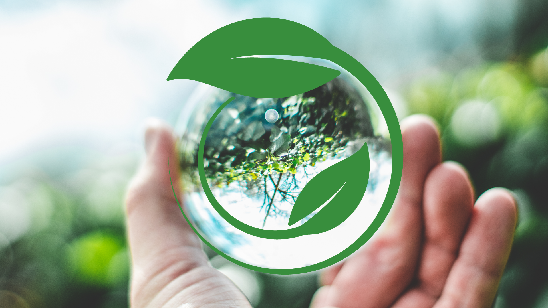 Dall’impronta carbonica alla consapevolezza individuale  sulla sostenibilità