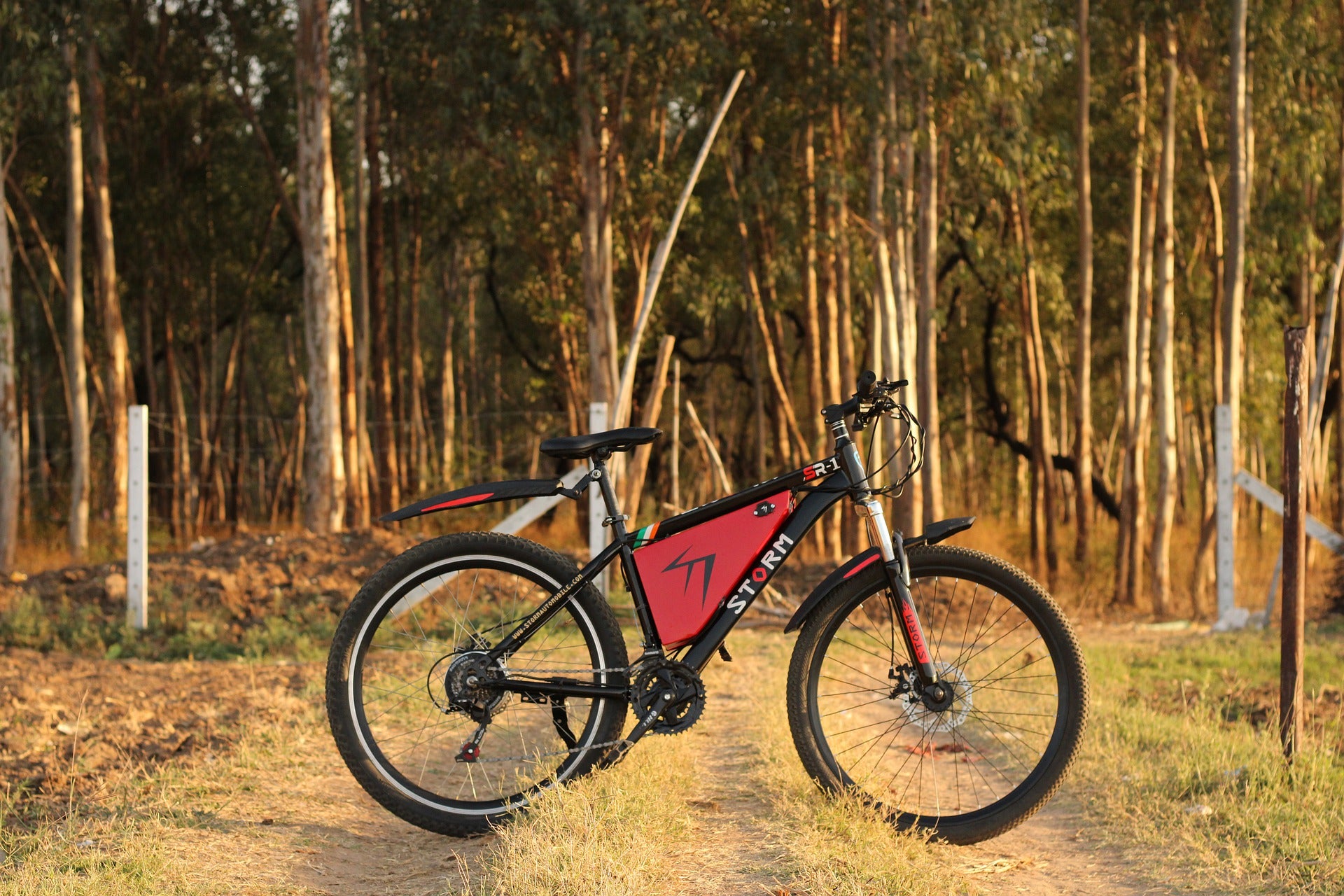 Bici elettrica e batteria al litio