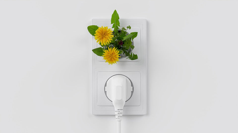 Litio e cobalto per le tecnologie green: il nuovo allarme ecologico