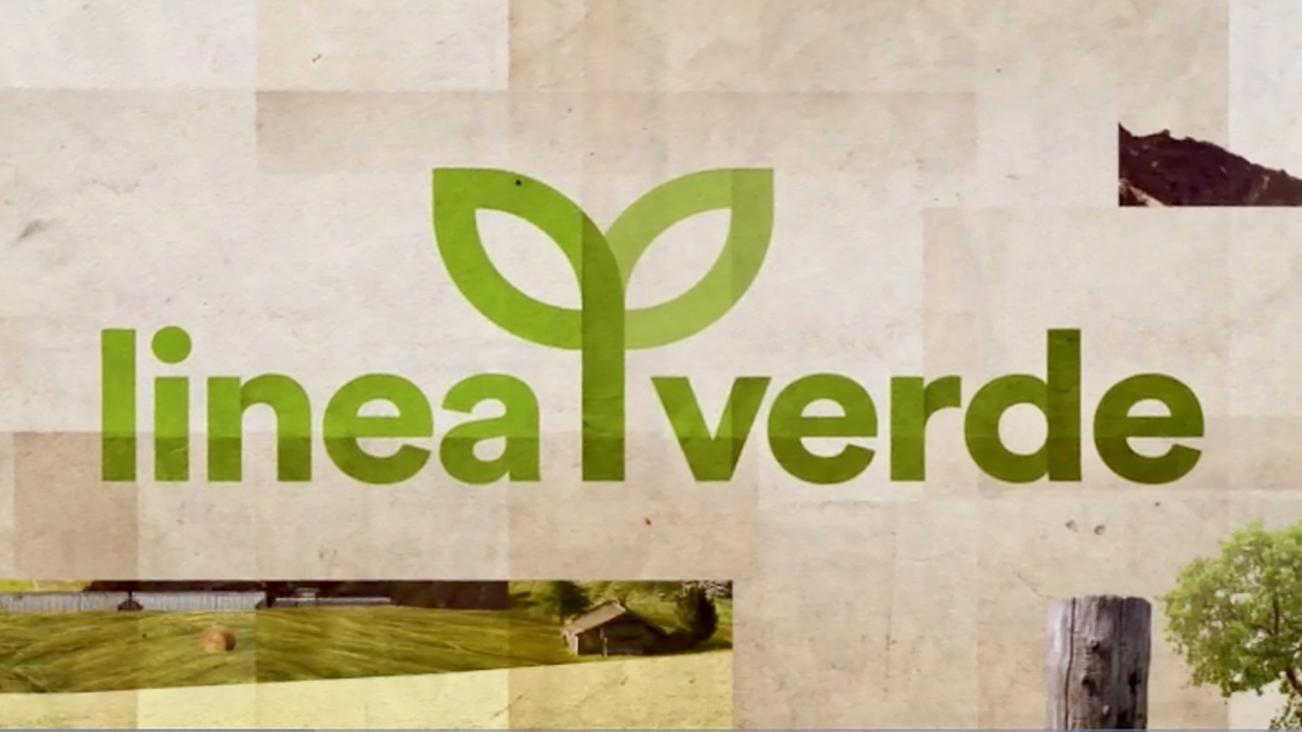 Rai 1 - Linea Verde: "Witty, la Startup italiana con un'occhio verso l'ambiente"